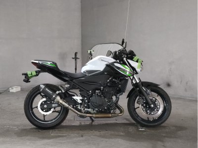 Kawasaki Z250 2019