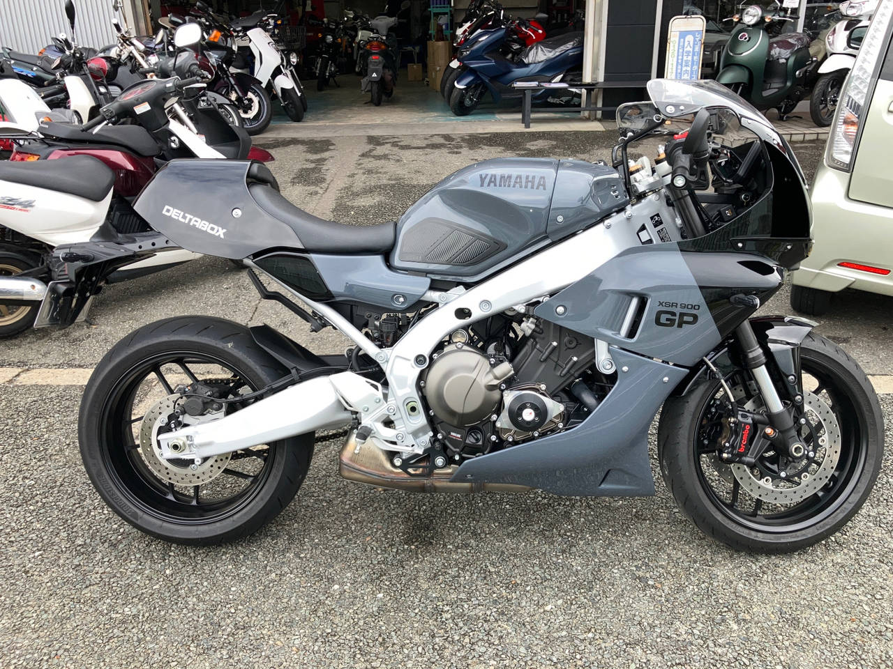 Yamaha xsr900 gp 2024