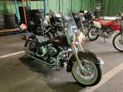 HD HERITAGE SPECIAL FLSTN 2011