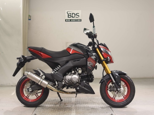 Kawasaki Z125 PRO 2018