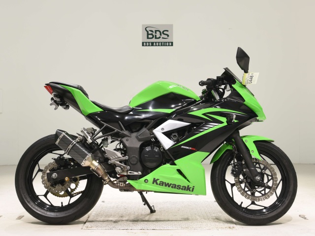 Kawasaki NINJA250 2015