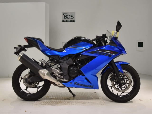 Kawasaki NINJA250 2016