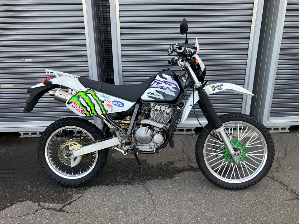 Suzuki DR250
