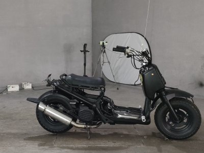 Honda ZOOMER 2006