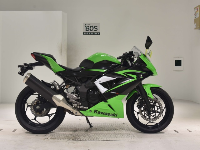 Kawasaki NINJA250 2015