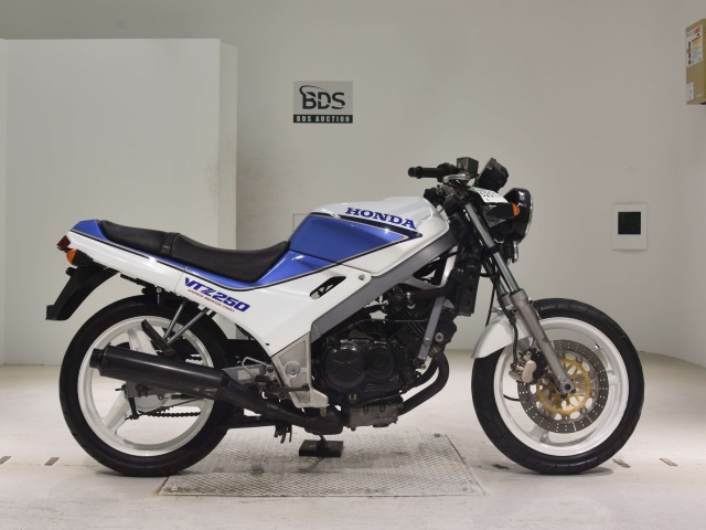 Honda VTZ250 1989
