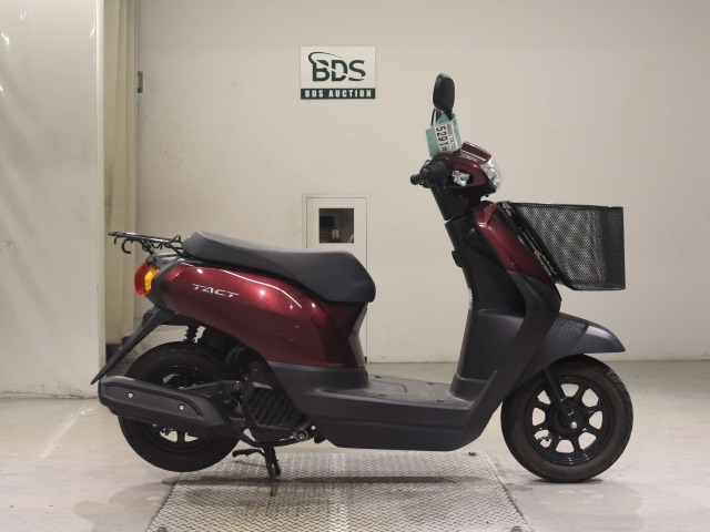 Honda TACT-4 BASIC 2024