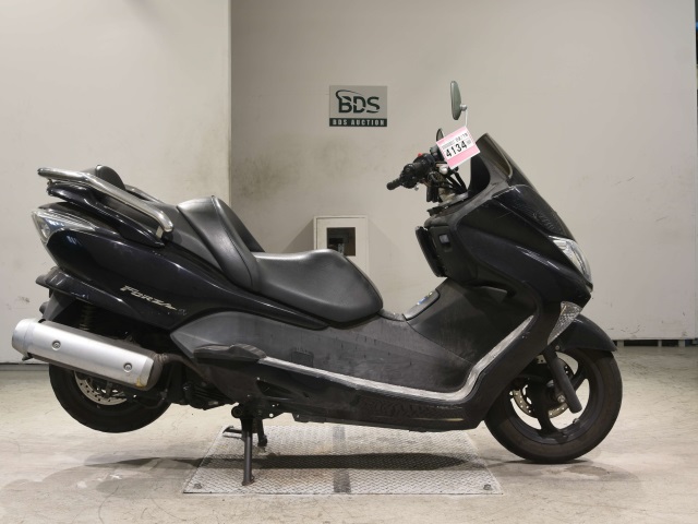 Honda FORZA Z 2004