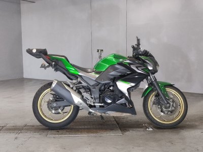 Kawasaki Z250 2017