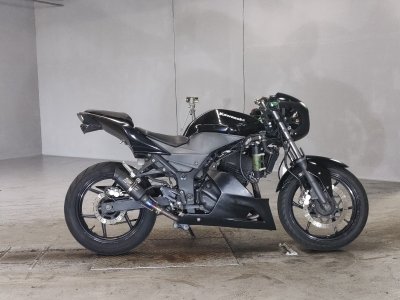 Kawasaki NINJA250R 2010