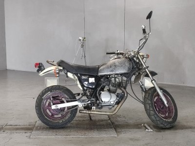 Honda APE50 TYPE D 2008