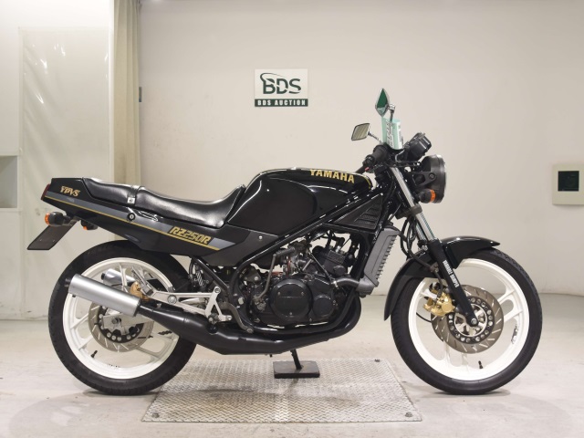 Yamaha RZ250R 1986
