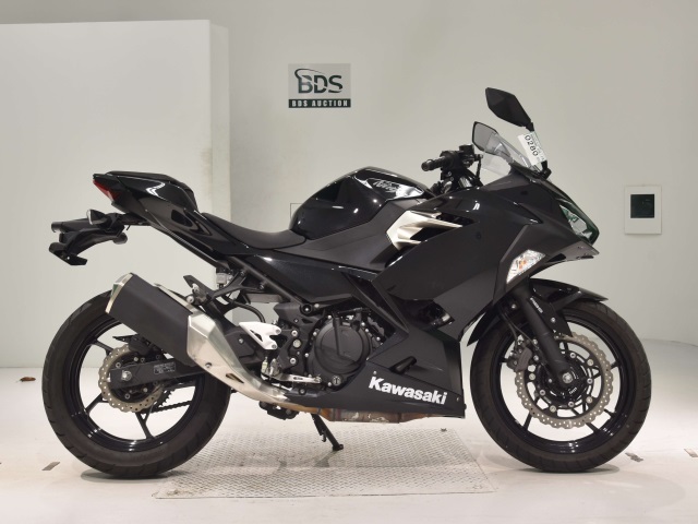 Kawasaki NINJA250 2019