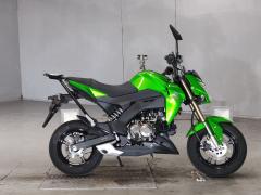 Kawasaki Z125 PRO 2016