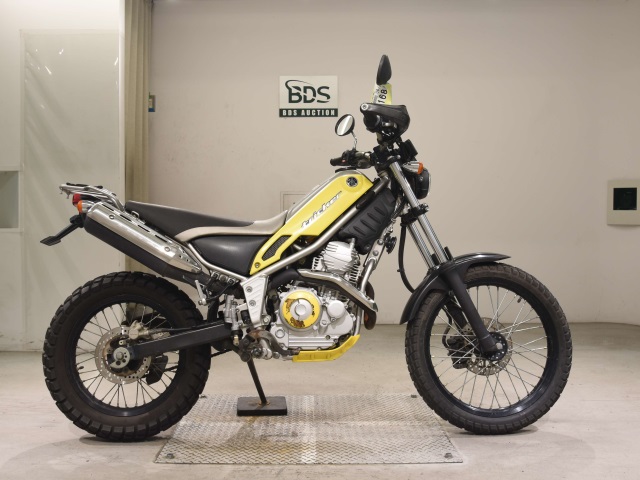 Yamaha TRICKER 2004