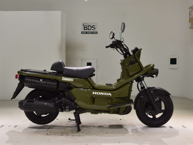 Honda PS250 BIG RUCKUS 2006