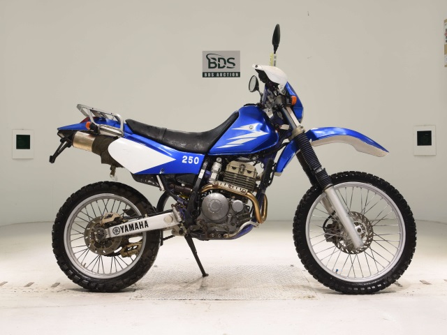 Yamaha TT250R 1993
