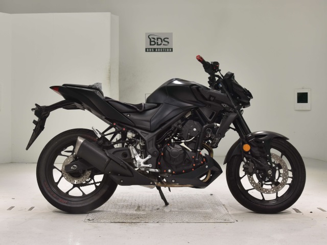 Yamaha MT-25 2021
