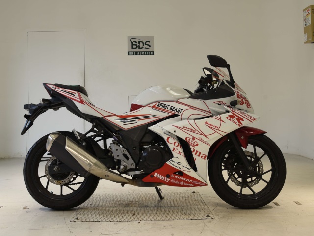Suzuki GSX250RA