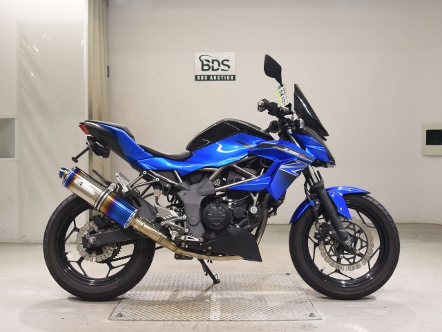 Kawasaki Z250SL 2016
