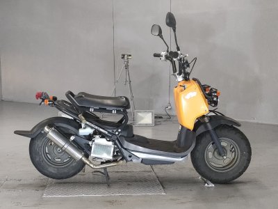 Honda ZOOMER 2009