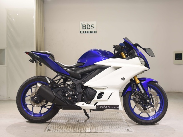 Yamaha YZF-R3 2019