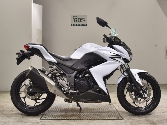 Kawasaki Z250 2013
