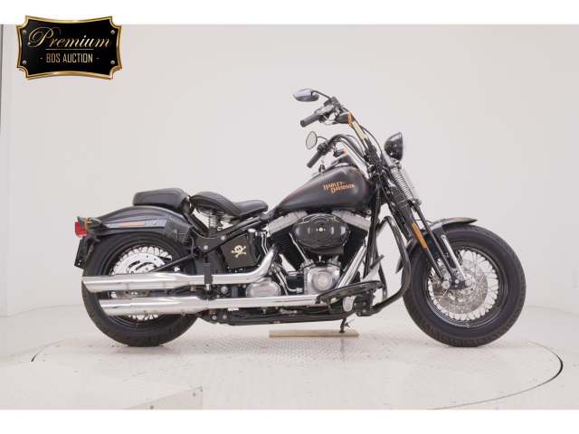 HD CROSS BONES FLSTSB1580 2010