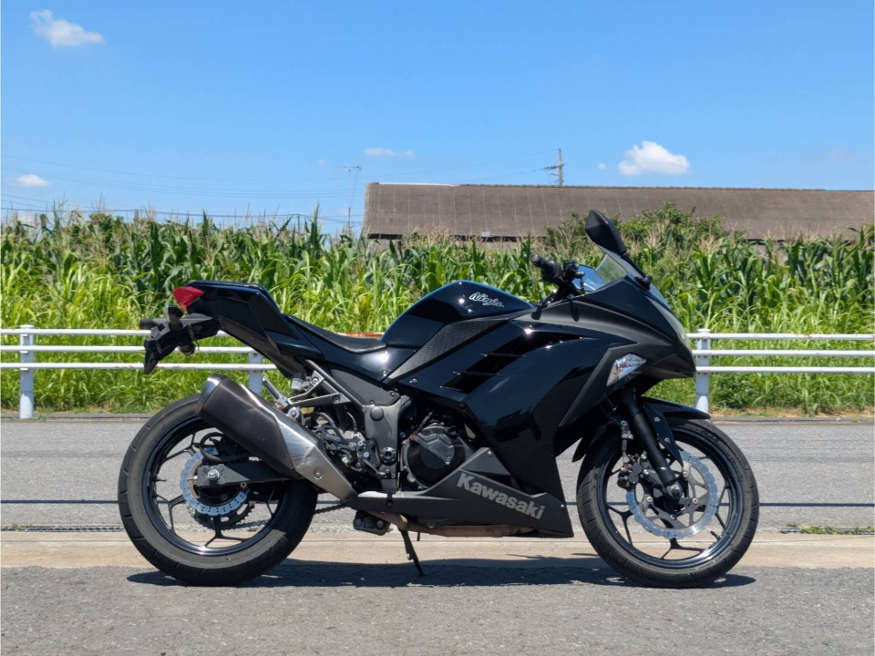 Kawasaki NINJA250 2014