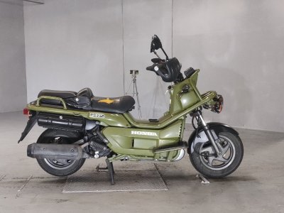 Honda PS250 BIG RUCKUS 2006