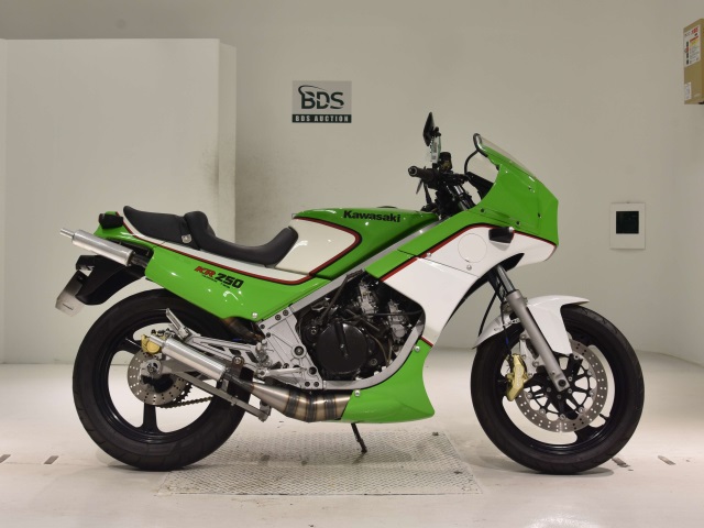 Kawasaki KR250