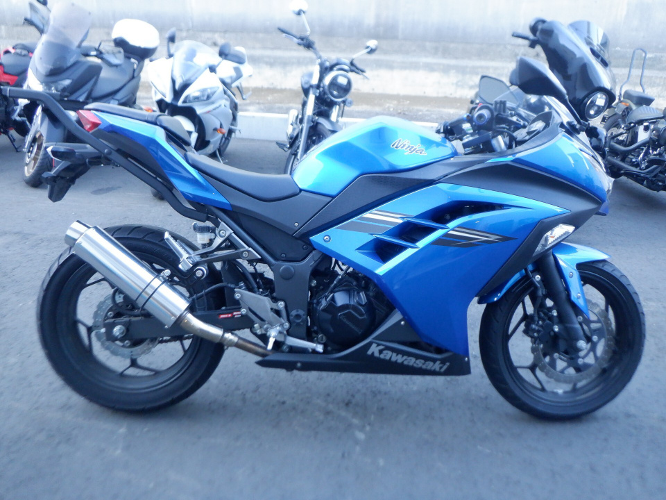 Kawasaki NINJA250 2017