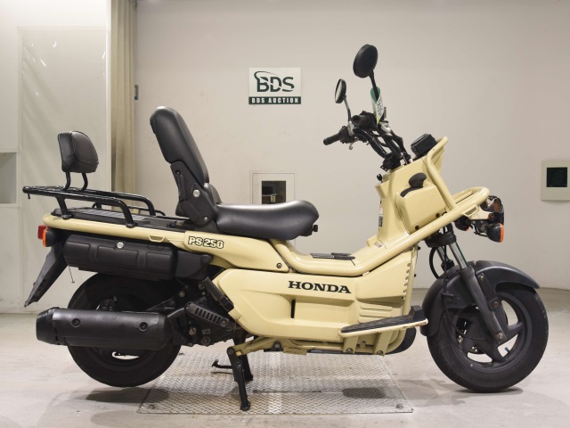Honda PS250 BIG RUCKUS 2006