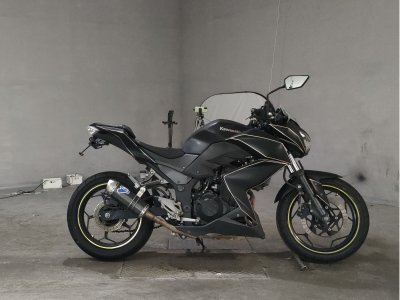 Kawasaki Z250 2013