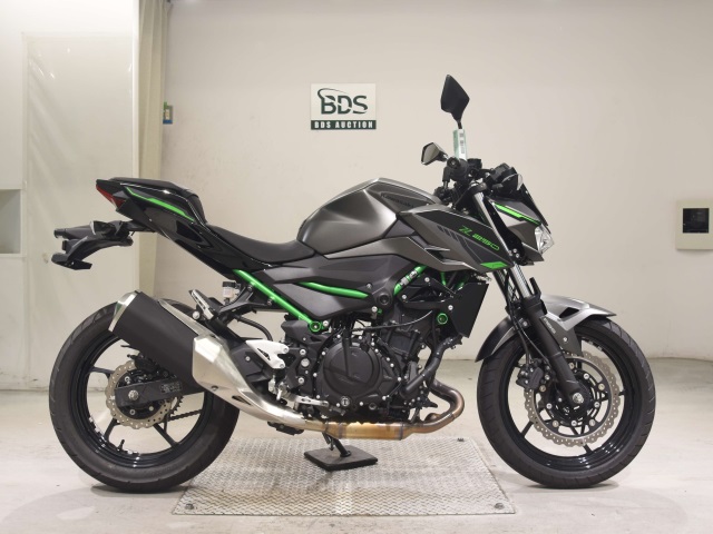 Kawasaki Z250 2024