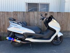 Yamaha GRAND MAJESTY250 2006