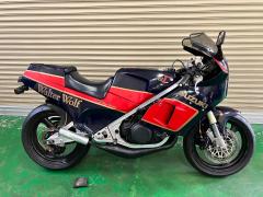 Suzuki RG250 GAMMA