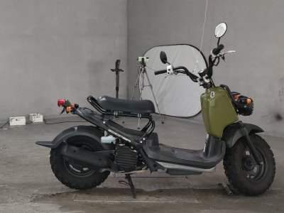 Honda ZOOMER 2009