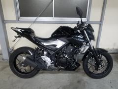Yamaha MT-25 2016