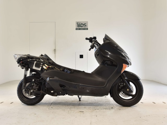 Honda FORZA Z 2006