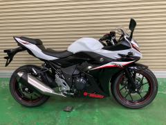 Suzuki GSX250R