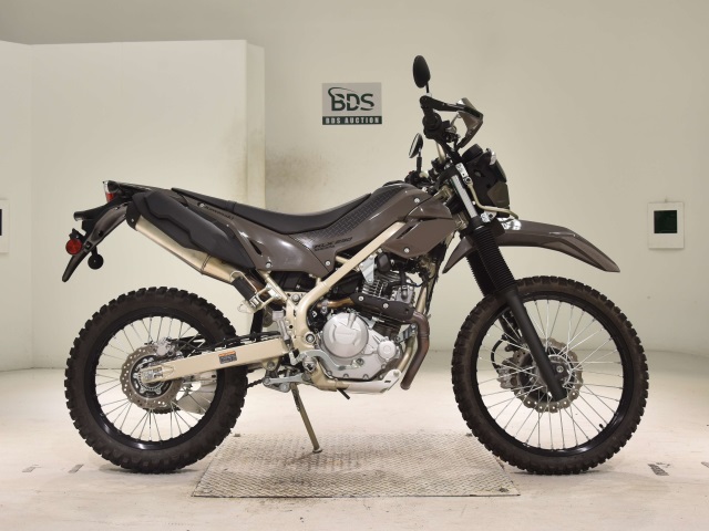 Kawasaki KLX230 SHERPA 2025