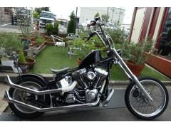 HD DEUCE FXSTD1450 2001