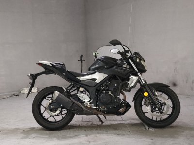 Yamaha MT-25 2016