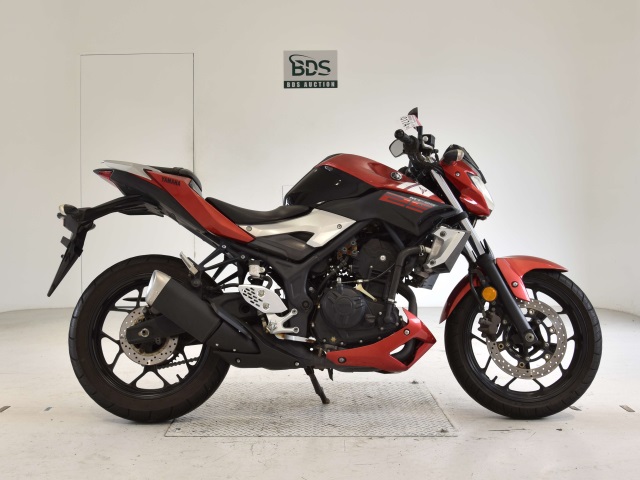 Yamaha MT-25 2016