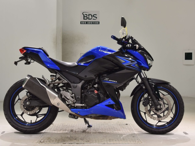 Kawasaki Z250 2015
