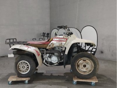 Honda TRX300FW 2018