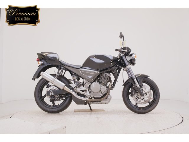 Suzuki GOOSE250