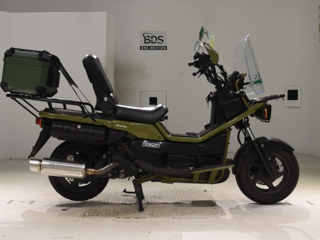 Honda PS250 BIG RUCKUS 2004