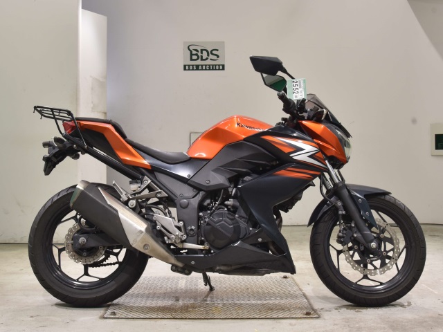 Kawasaki Z250 2014